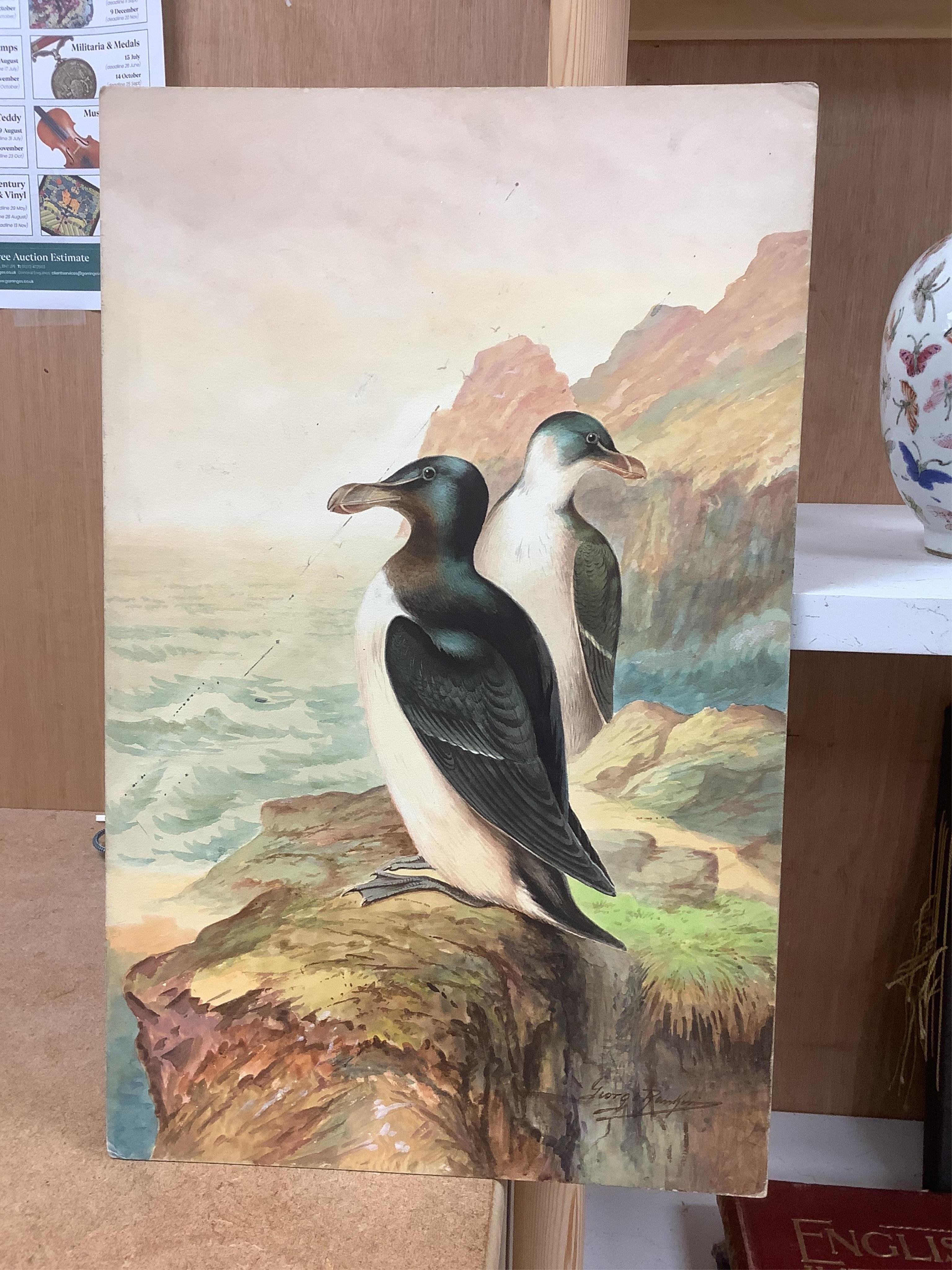 George Rankin (1864-1937), two watercolours on card, ‘Storm petrels’ and ‘Razorbills’, each signed, unframed, 46 x 29cm. Condition - fair to good